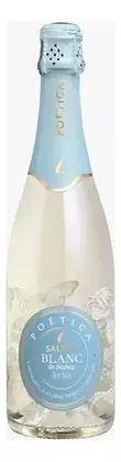 ESPUMANTE SALTON POETICA BLANC DE BLANC DEMI SEC 750ML